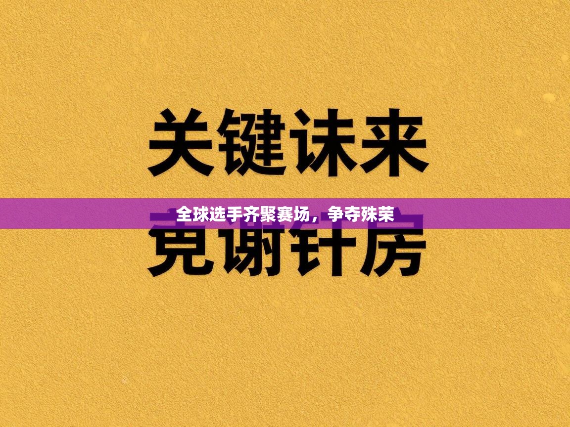 全球选手齐聚赛场，争夺殊荣