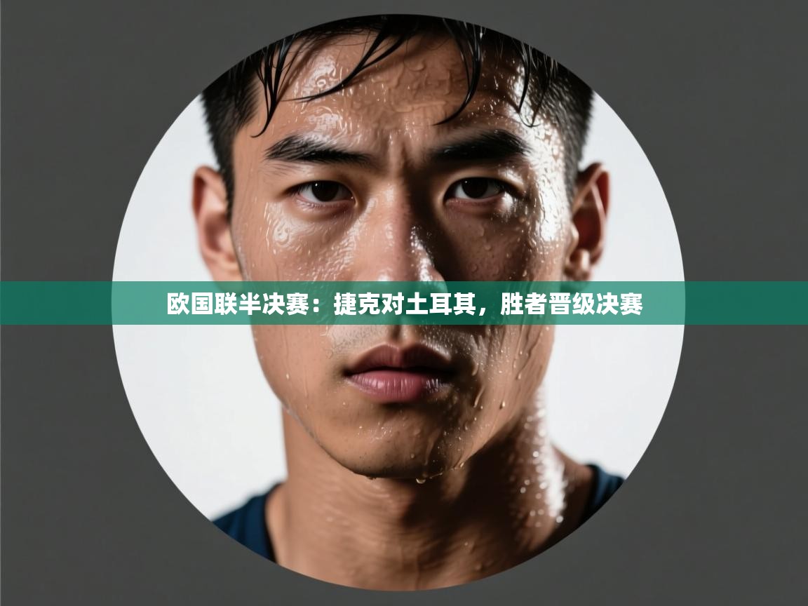 欧国联半决赛：捷克对土耳其，胜者晋级决赛  第2张