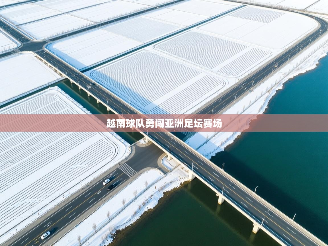 越南球队勇闯亚洲足坛赛场