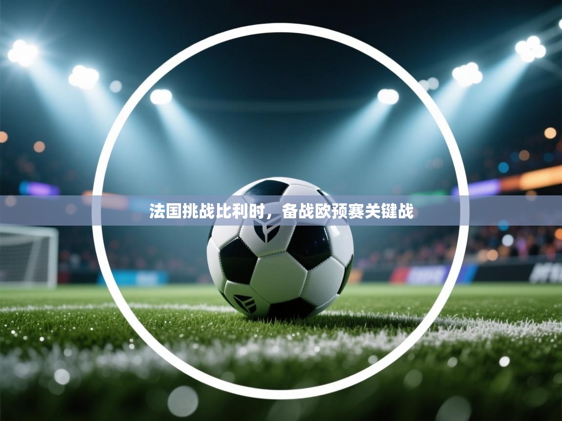 法国挑战比利时，备战欧预赛关键战
